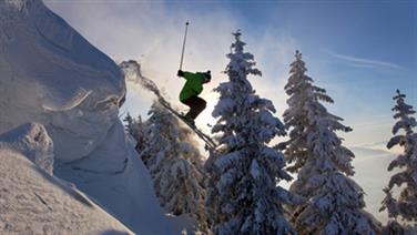 Image for: 1 Day Liberty