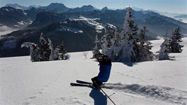 Image for: 5 Hours Liberty