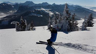 Image for: 5 Hours Liberty